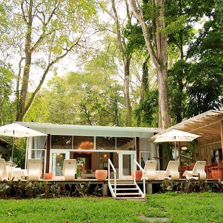 Gigi Brown Villa Frida Beachfront Puerto Viejo de Talamanca Ngoại thất bức ảnh