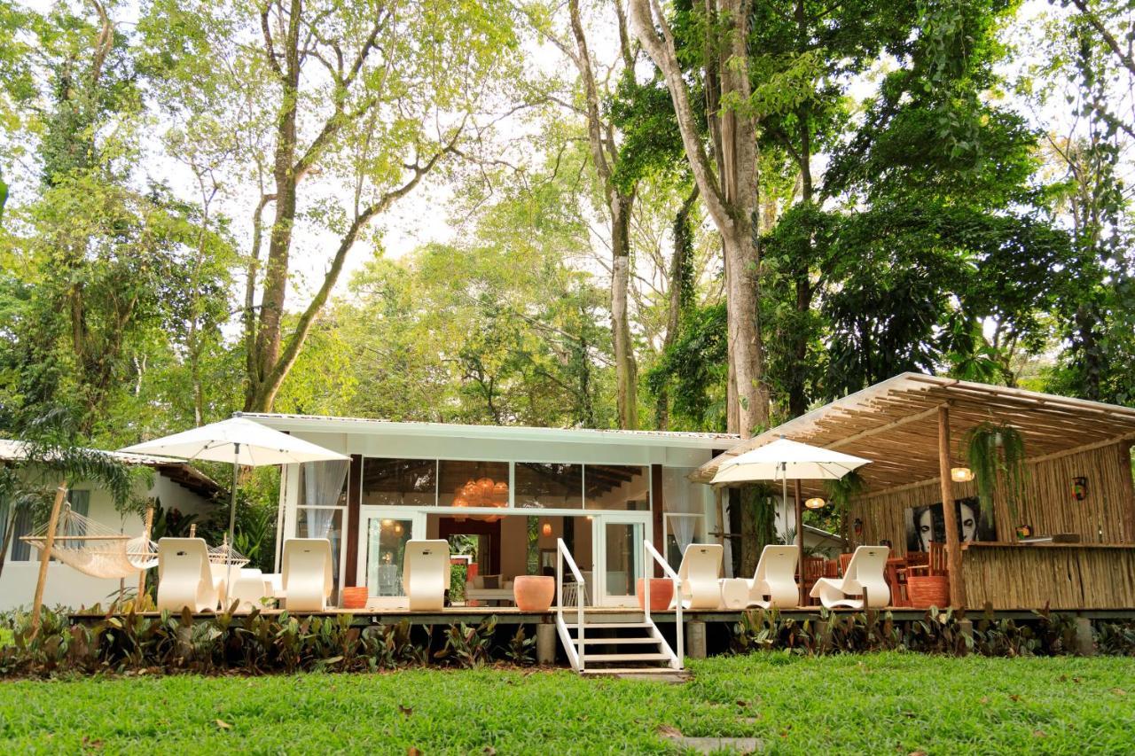 Gigi Brown Villa Frida Beachfront Puerto Viejo de Talamanca Ngoại thất bức ảnh