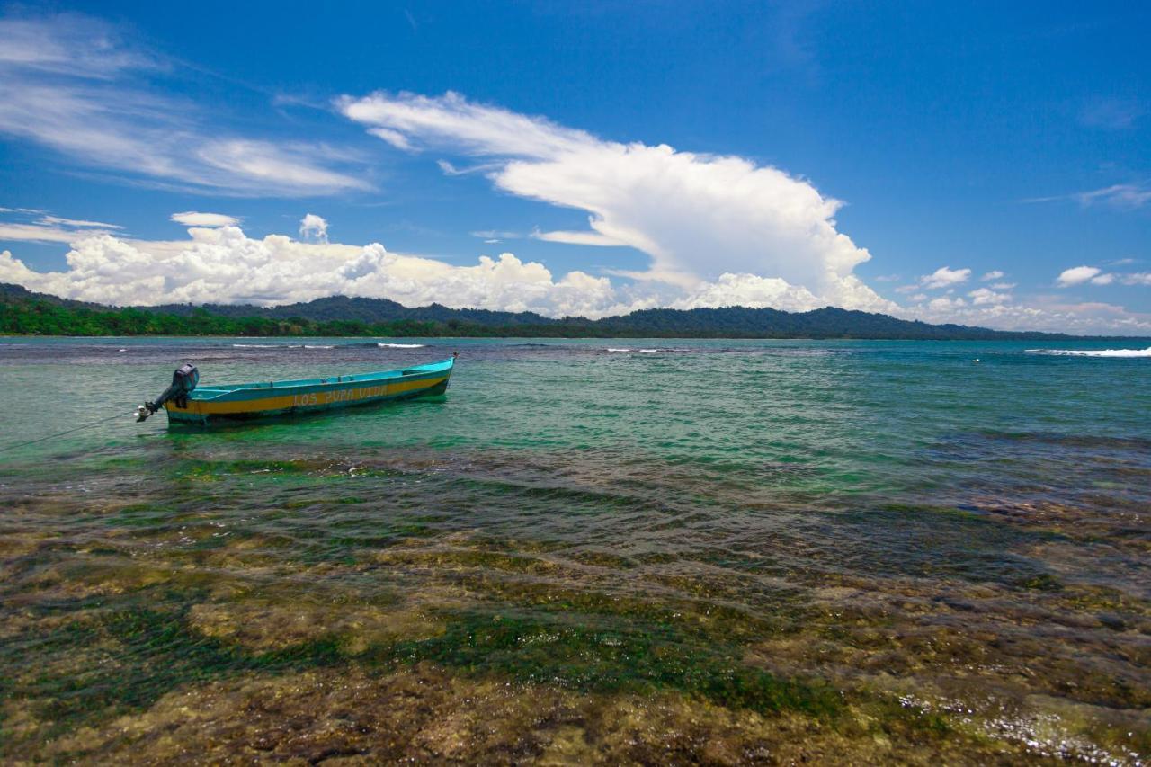 Gigi Brown Villa Frida Beachfront Puerto Viejo de Talamanca Ngoại thất bức ảnh