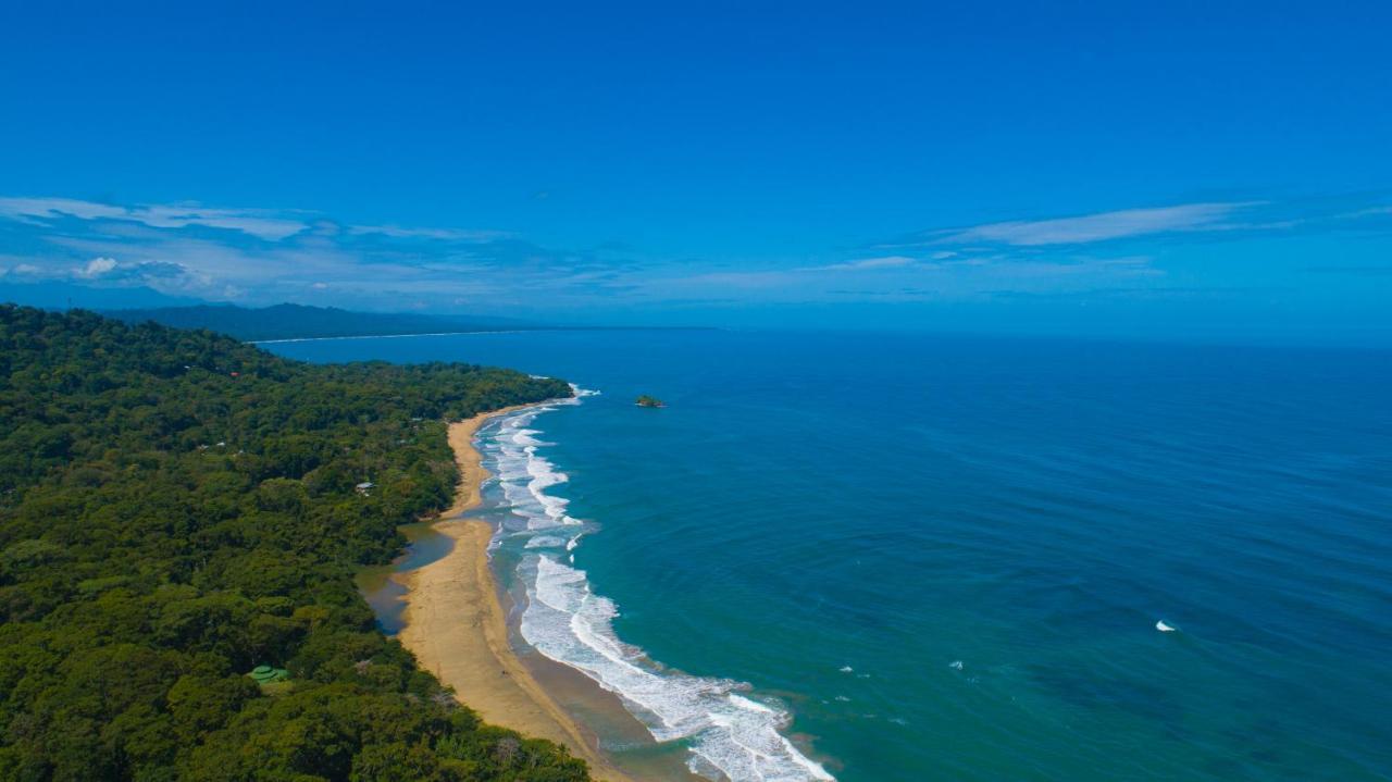 Gigi Brown Villa Frida Beachfront Puerto Viejo de Talamanca Ngoại thất bức ảnh